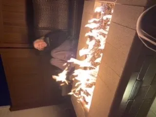 Custom landscape design in Sugar Grove, IL by Collegiate Landscape