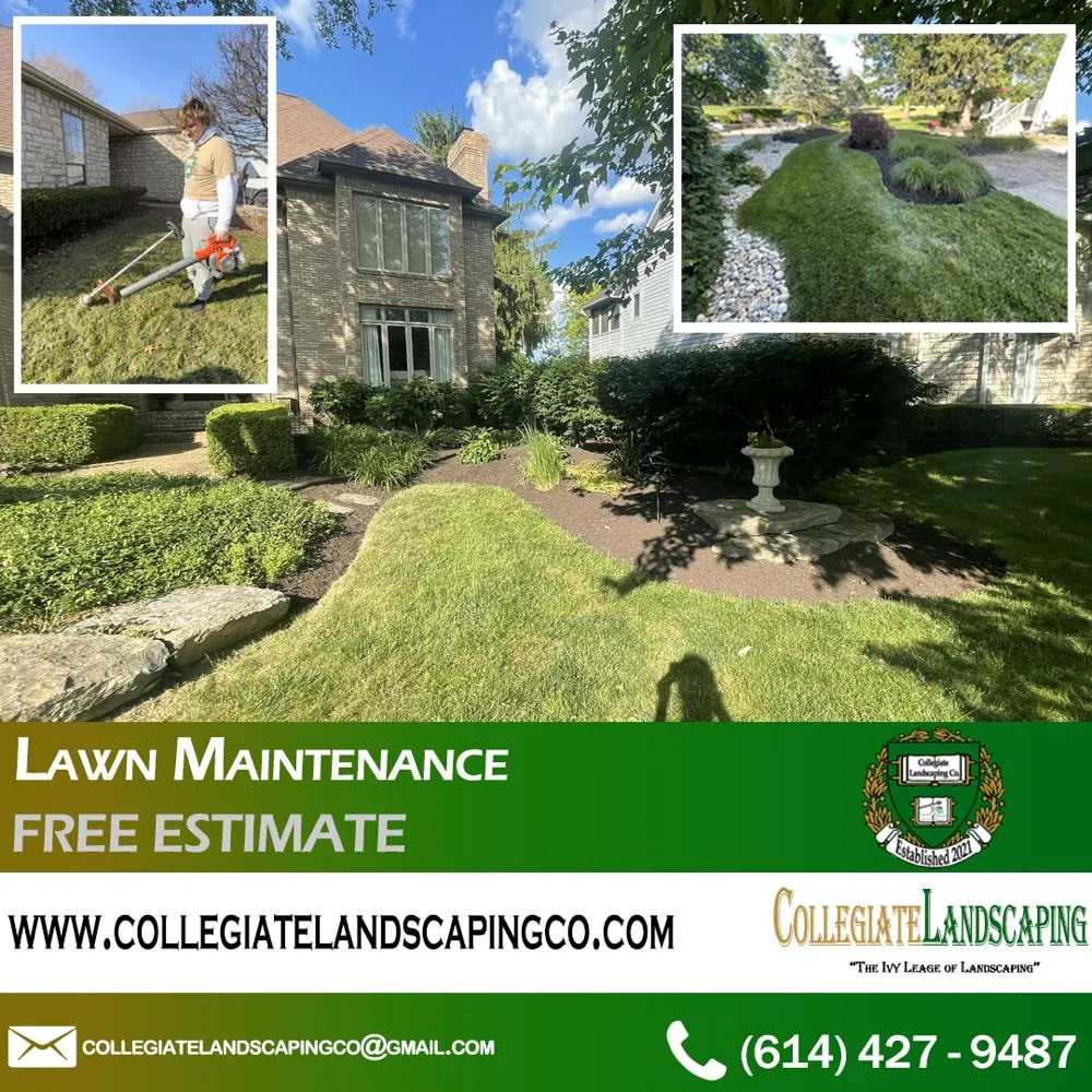 Expert landscaping services with custom design in Columbus, OH by Collegiate Landscaping