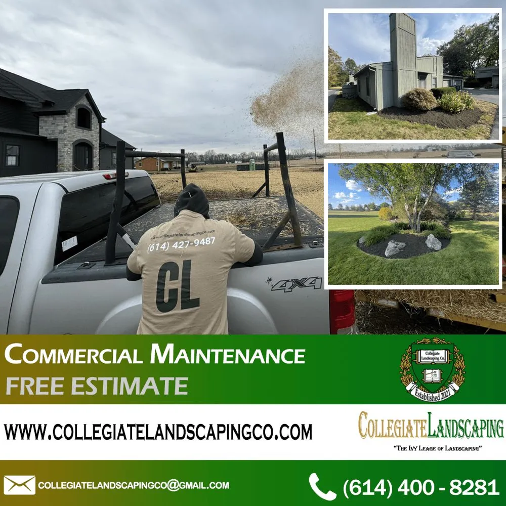 Local lawn mowing service in Columbus, OH by Collegiate Landscaping