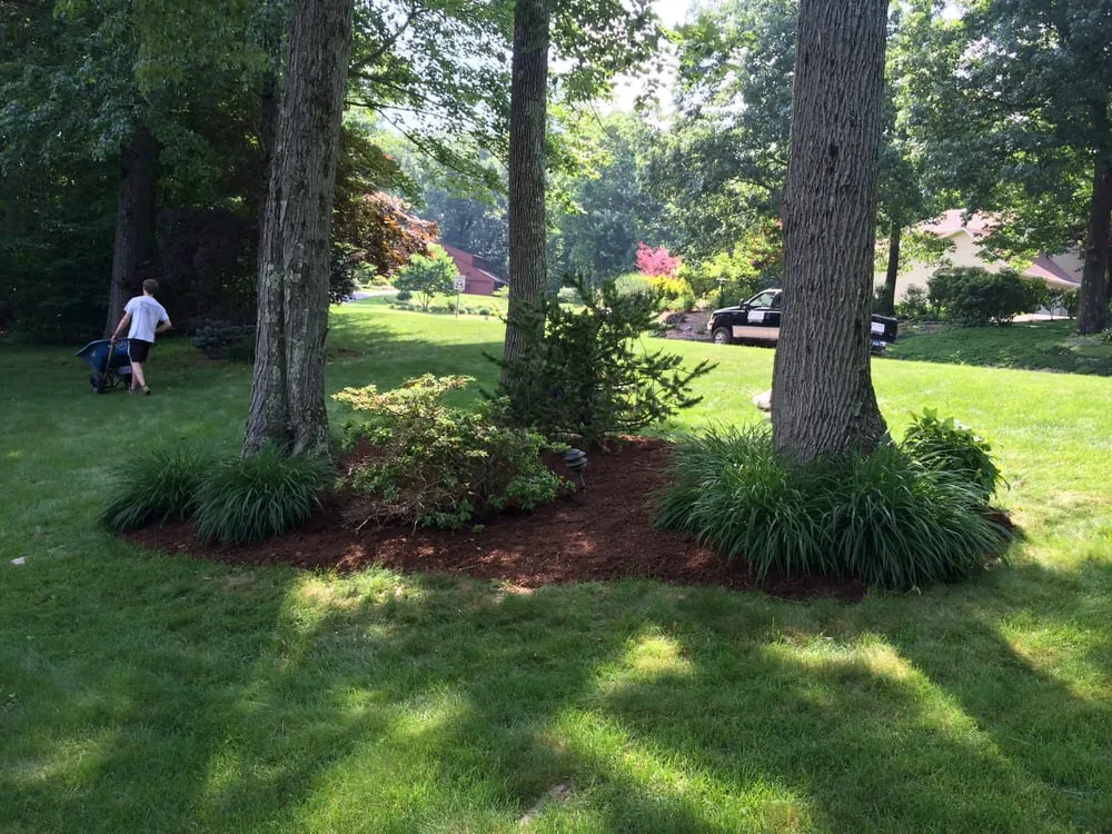 Affordable yard cleanup service near you in Glastonbury, CT by Collegiate Landscaping