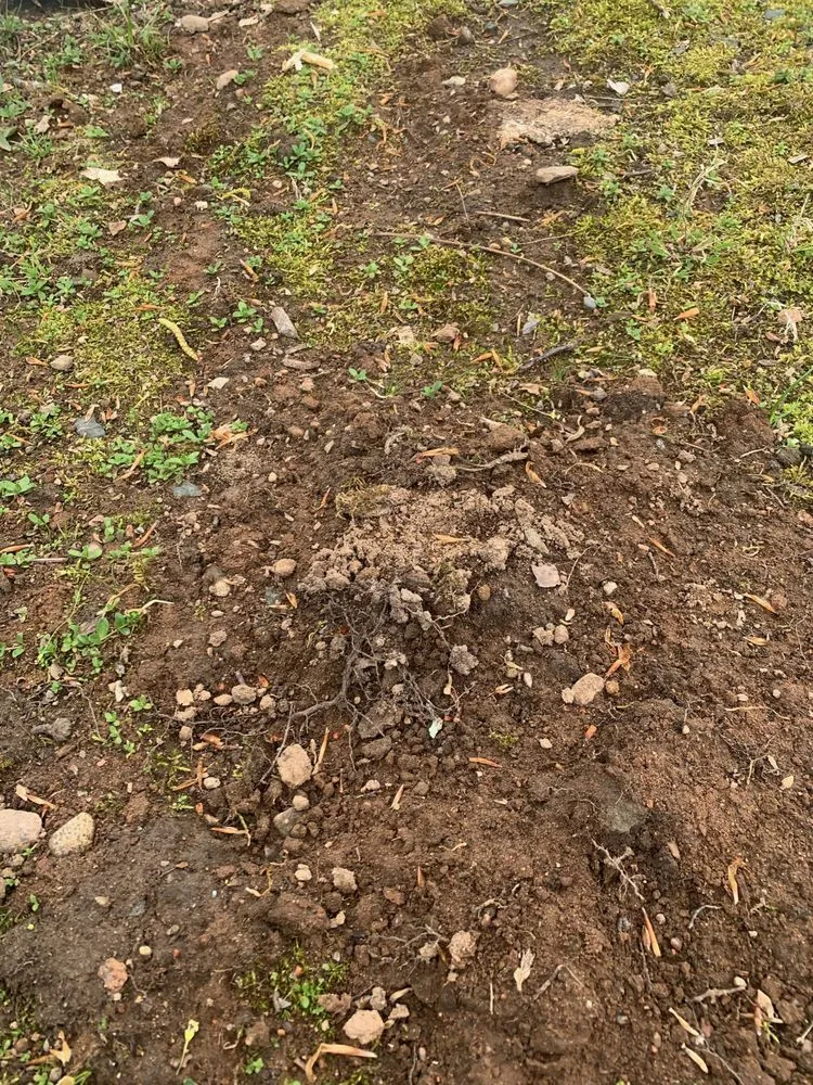 Trusted outdoor landscaping for homes in Glastonbury, CT by Collegiate Landscaping