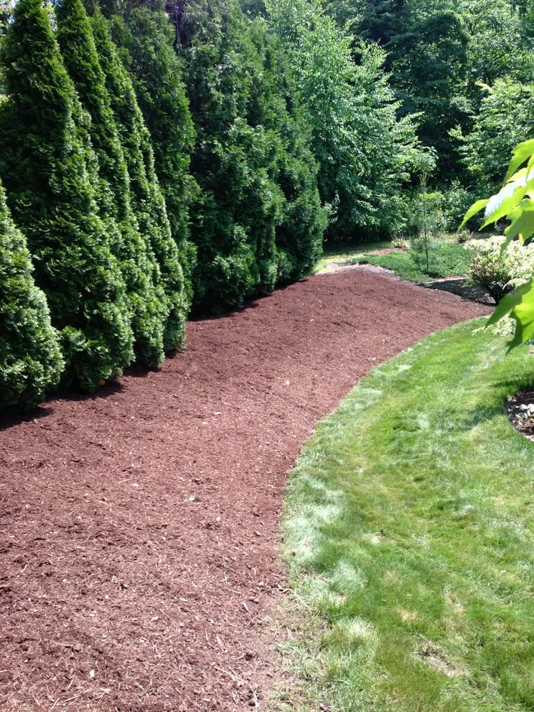 Expert yard cleanup service with custom design across Glastonbury, CT - Collegiate Landscaping
