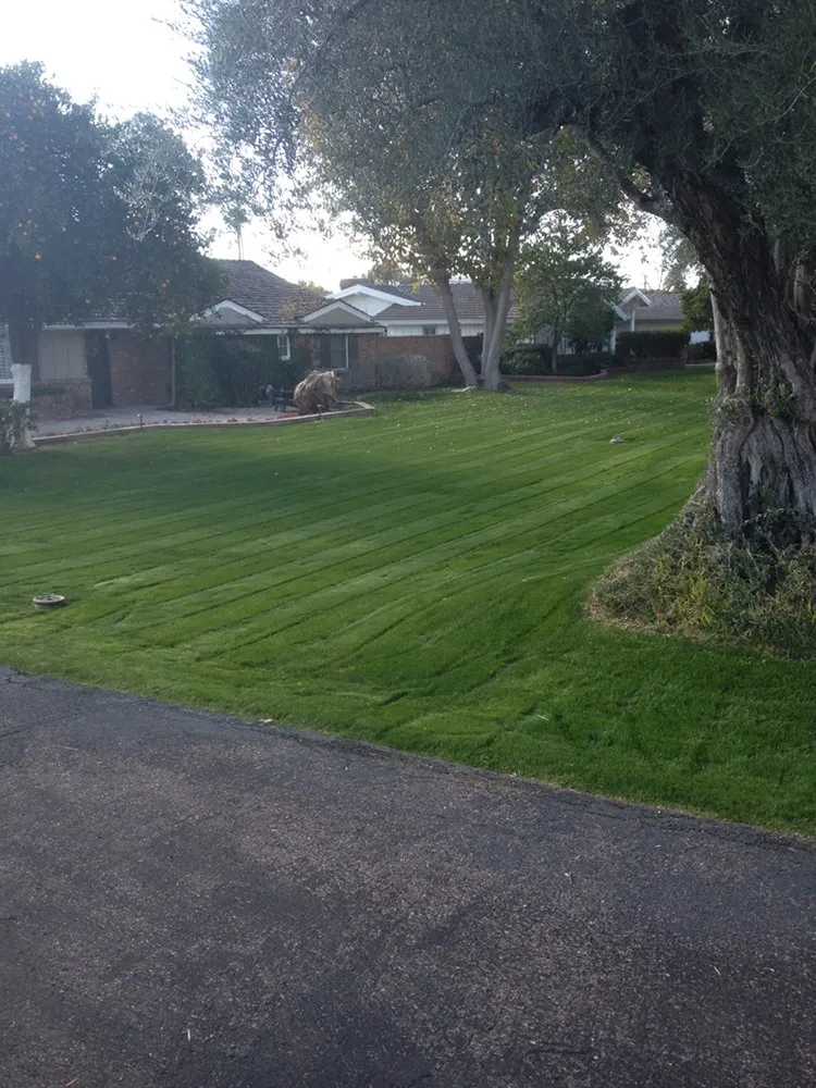 Affordable garden landscaping for beautiful yards in Scotland, MD by Collentro Landscaping