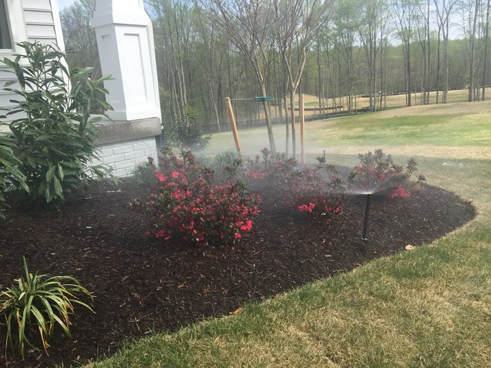 Local yard cleanup service for year-round maintenance in Scotland, MD by Collentro Landscaping