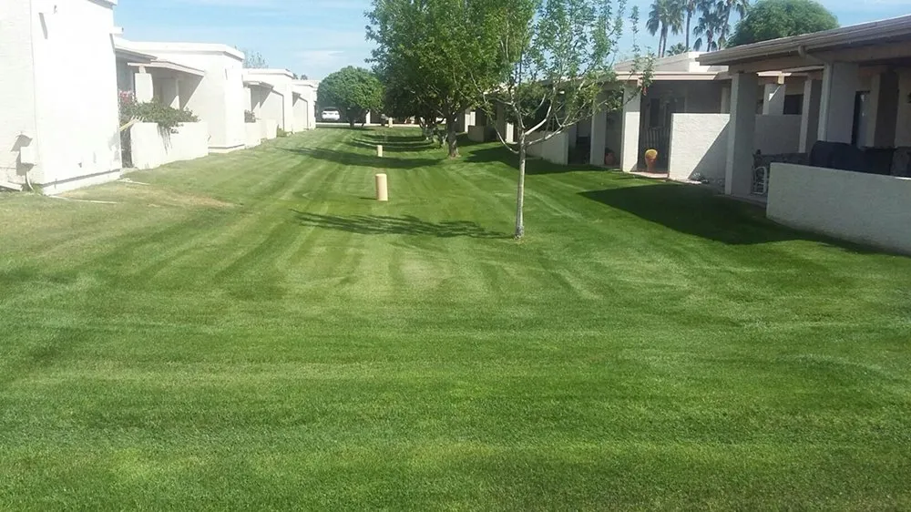 Top-rated landscape installation near you across Scotland, MD - Collentro Landscaping
