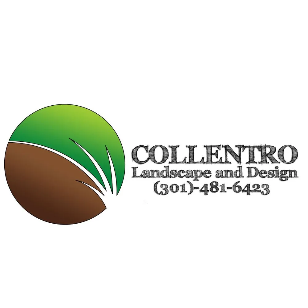 Top-rated landscaping services experts serving Scotland, MD - Collentro Landscaping
