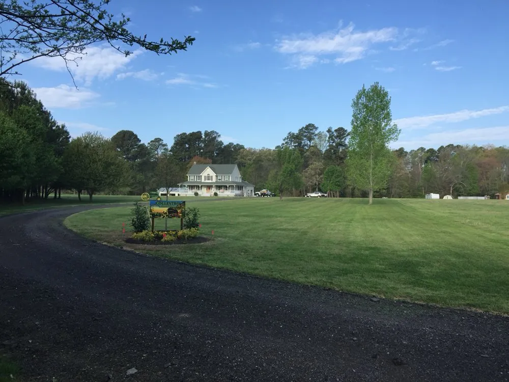 Professional outdoor landscaping in Scotland, MD - Collentro Landscaping