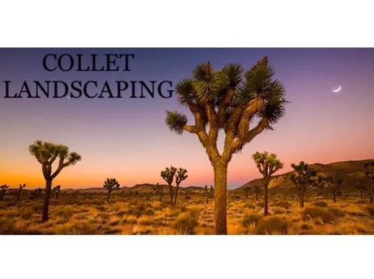Collet Landscaping