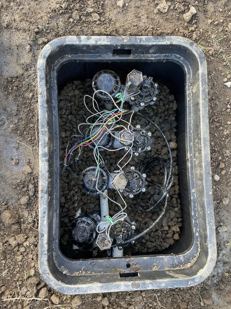 Top-rated landscape design in San Diego, CA by Collier Landscaping & Irrigation