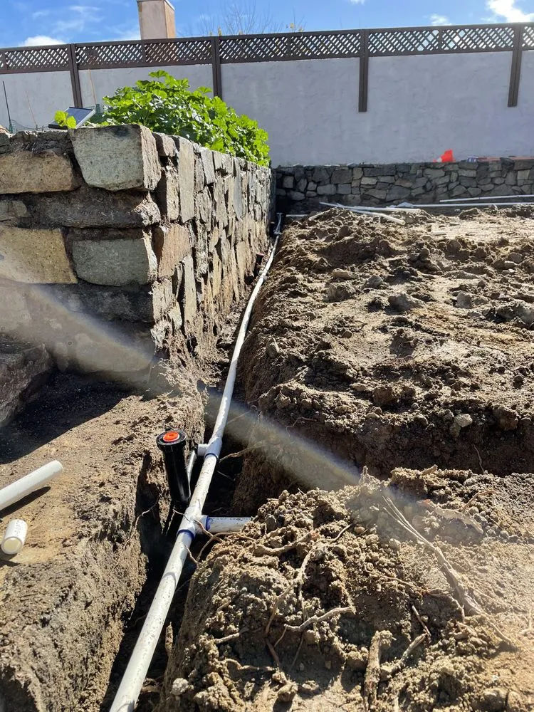 Professional landscape installation with custom design across San Diego, CA - Collier Landscaping & Irrigation