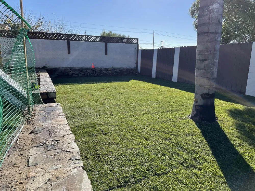 Affordable landscape design for homes across San Diego, CA - Collier Landscaping & Irrigation