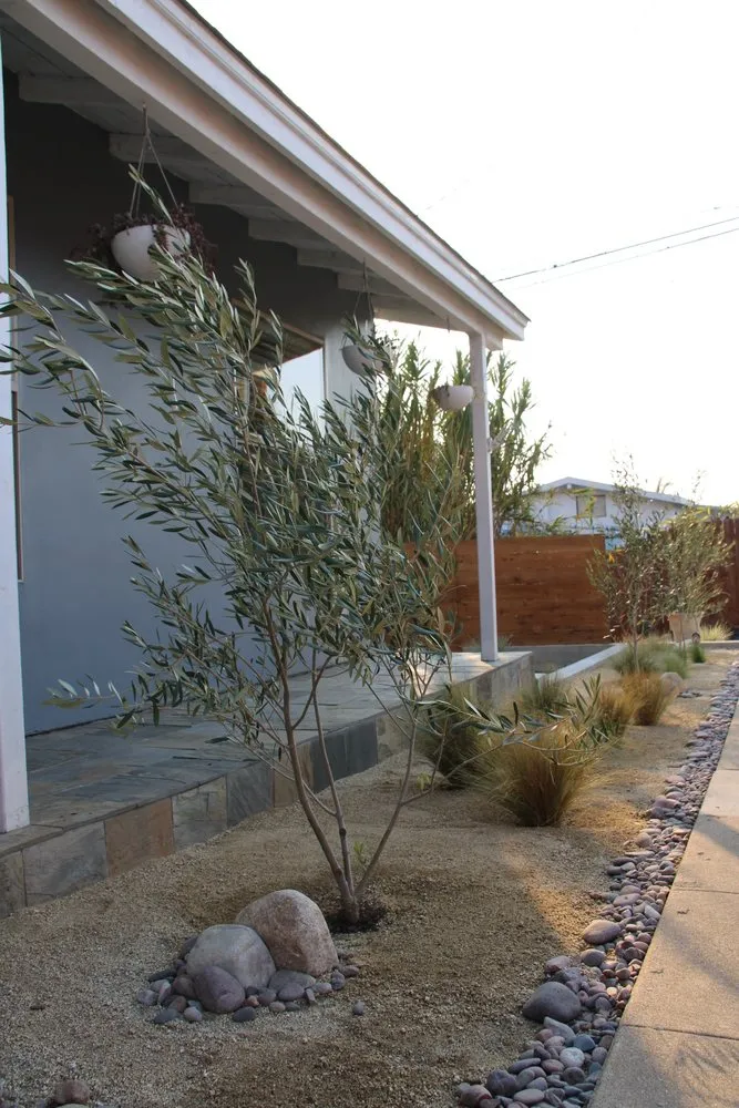 Professional landscaping services for year-round maintenance across San Diego, CA - Collier Landscaping & Irrigation