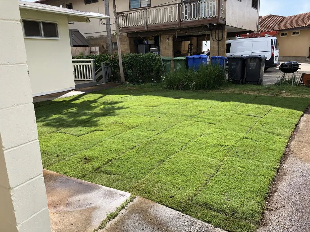 Affordable residential landscaping near you in Aiea, HI by Collier Services