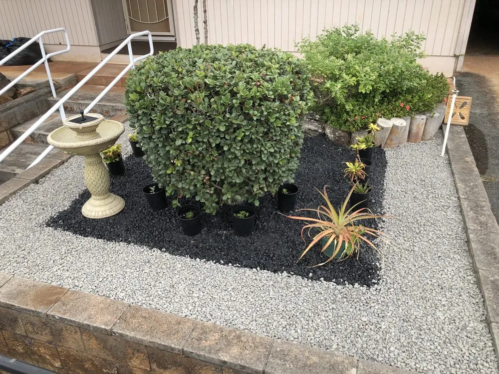 Professional lawn mowing service for year-round maintenance in Aiea, HI by Collier Services