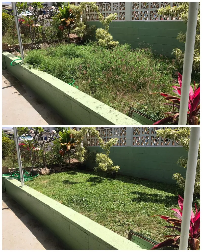 Affordable residential landscaping experts serving Aiea, HI - Collier Services