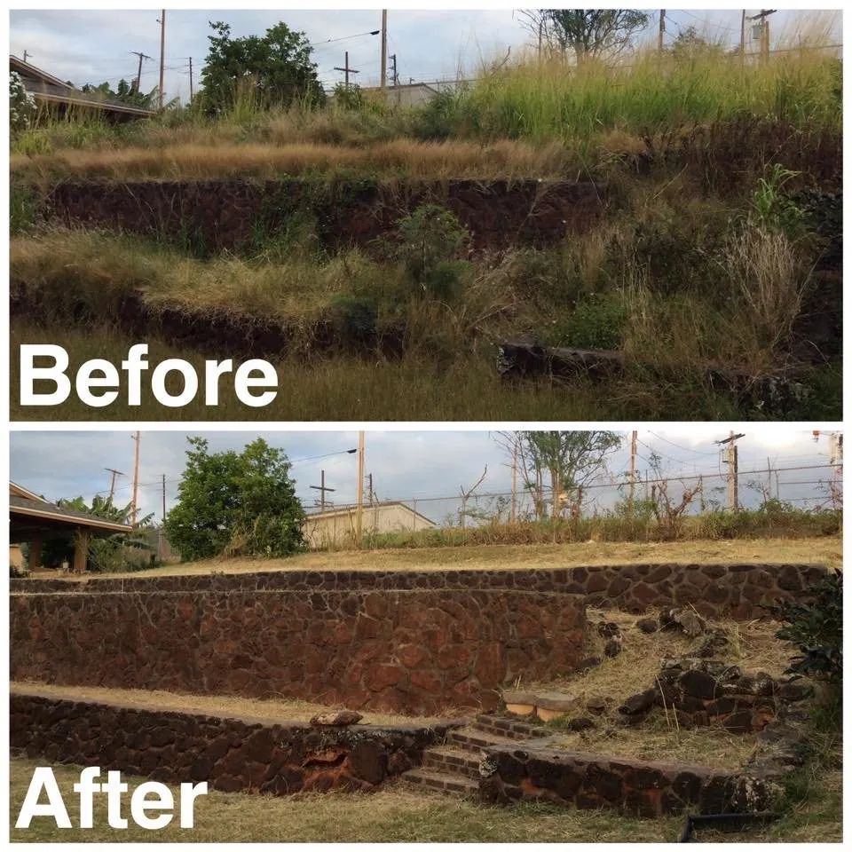 Expert landscaping services for year-round maintenance across Aiea, HI - Collier Services