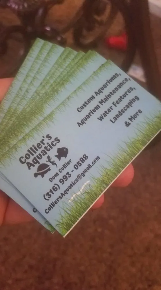 Reliable garden landscaping in Wichita, KS - Collier's Aquatics