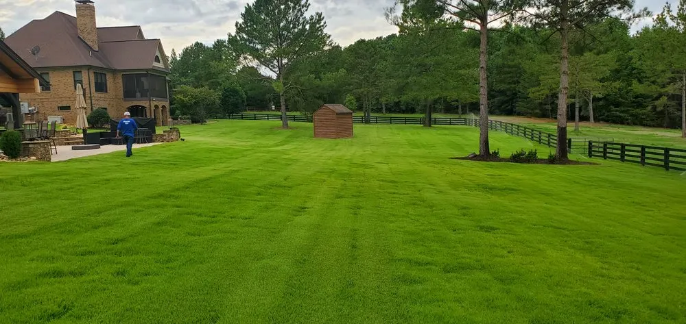 Professional garden landscaping in Greenville, SC - Collin Buckner