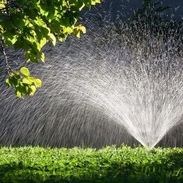 Custom yard maintenance in Greenville, SC - Collin Buckner