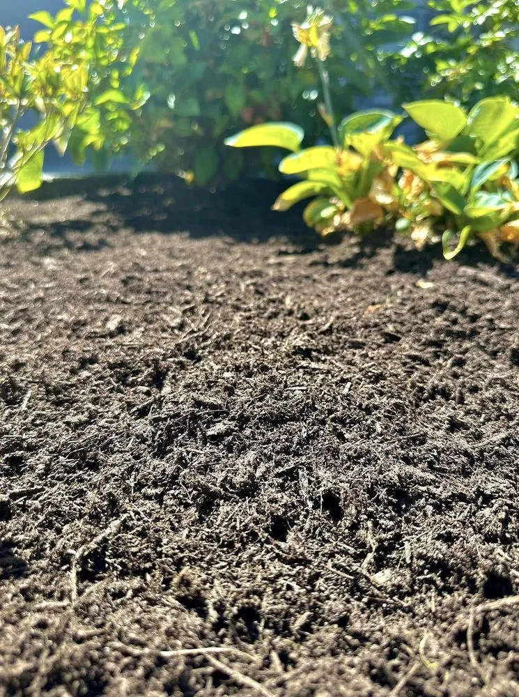 Professional landscape installation for beautiful yards in Philadelphia, PA by Collingdale Lawn Care