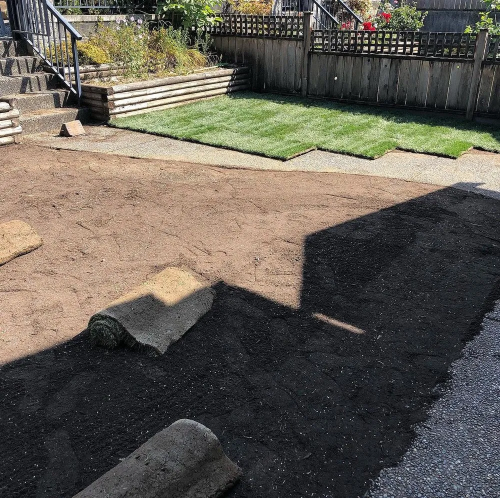 Trusted yard cleanup service with custom design in Philadelphia, PA by Collingdale Lawn Care