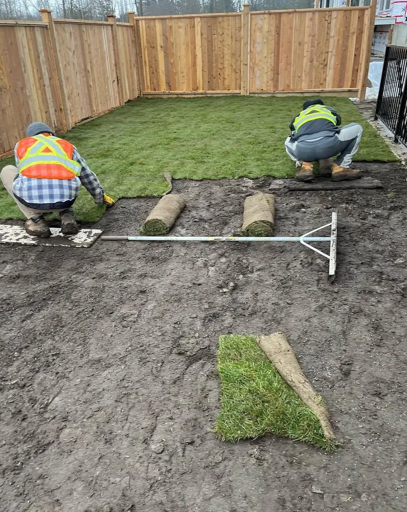 Local yard cleanup service in Philadelphia, PA - Collingdale Lawn Care