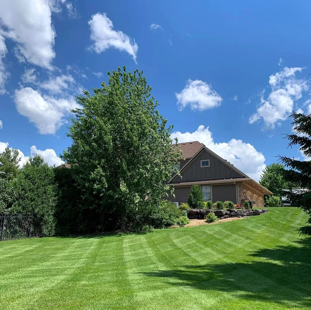 Professional yard cleanup service in Philadelphia, PA - Collingdale Lawn Care