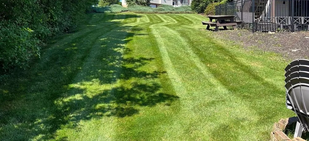 Custom yard cleanup service for year-round maintenance in Philadelphia, PA by Collingdale Lawn Care