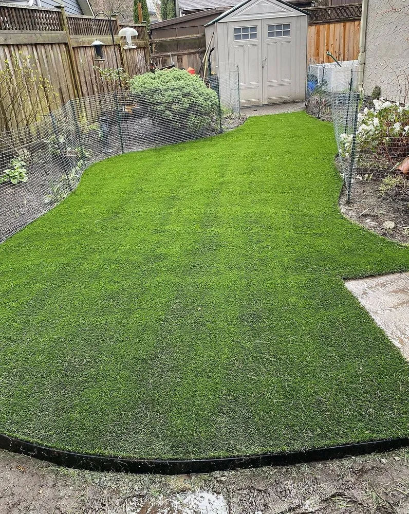 Reliable yard cleanup service experts serving Philadelphia, PA - Collingdale Lawn Care