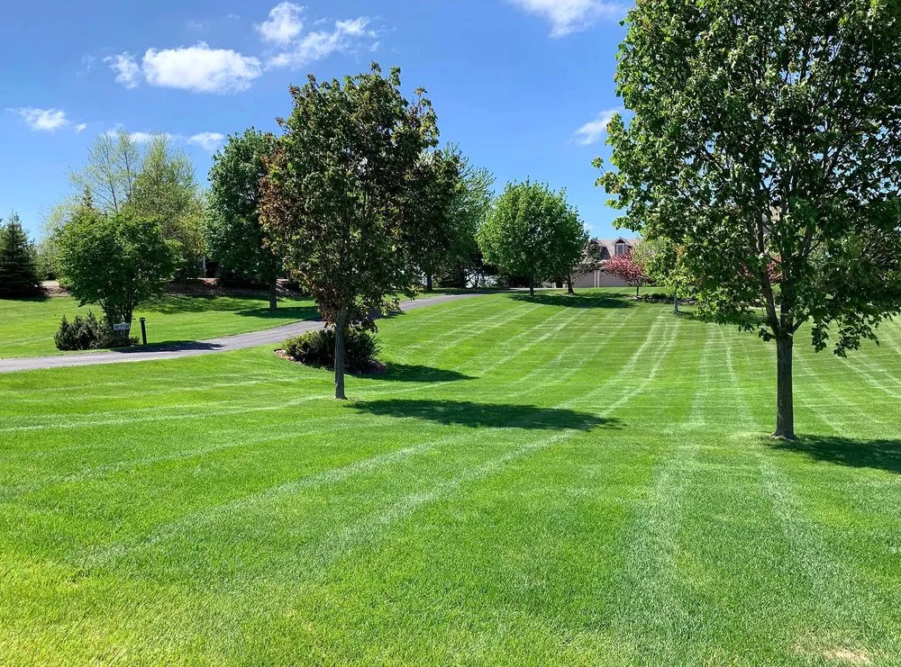 Affordable landscape design experts serving Philadelphia, PA - Collingdale Lawn Care