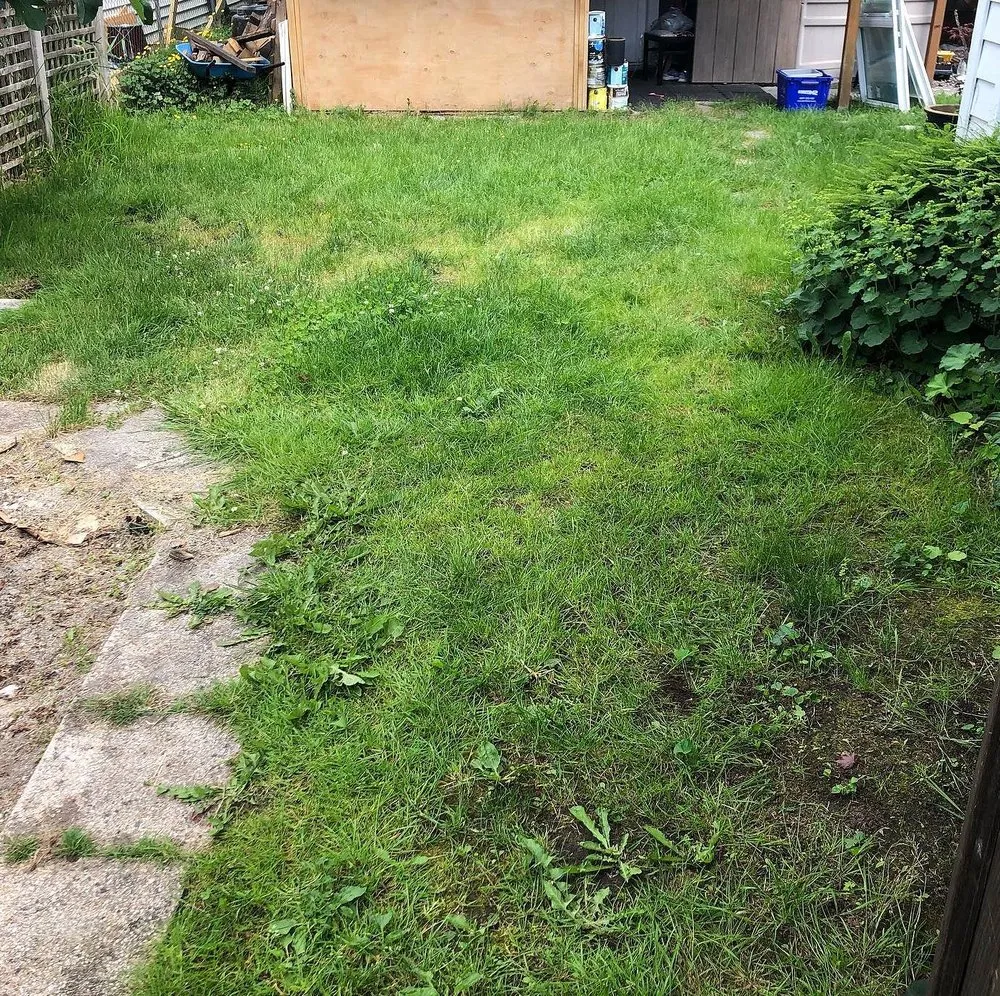 Professional lawn care service in Philadelphia, PA by Collingdale Lawn Care