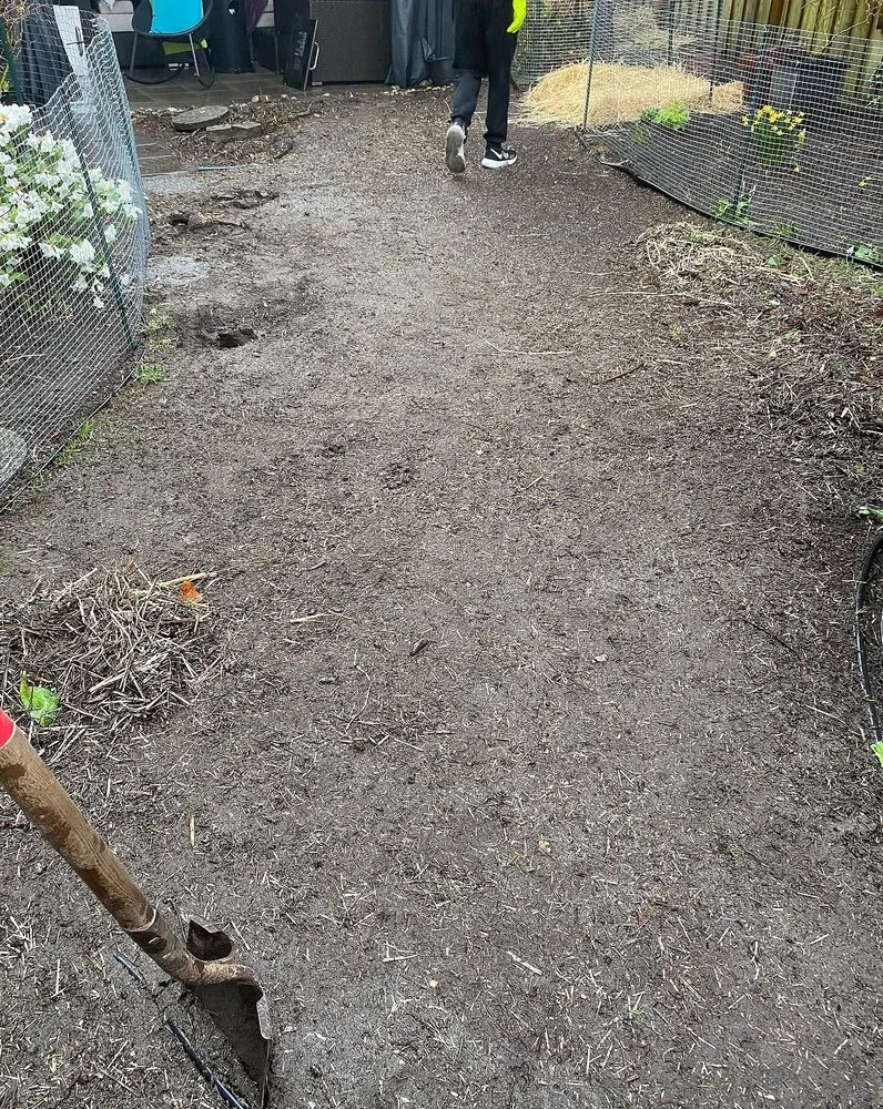 Reliable landscaping services experts serving Philadelphia, PA - Collingdale Lawn Care