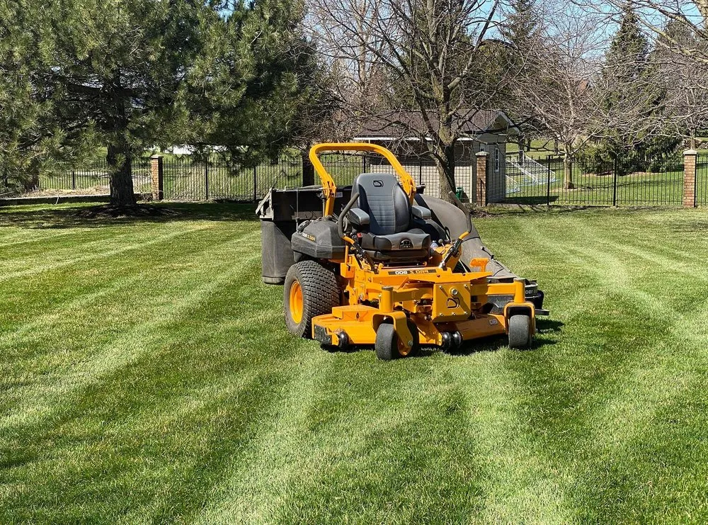 Affordable landscape installation in Philadelphia, PA by Collingdale Lawn Care