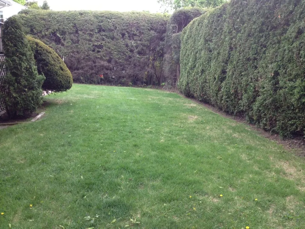 Professional yard cleanup service for beautiful yards across Swampscott, MA - Collins and Sons Landscaping