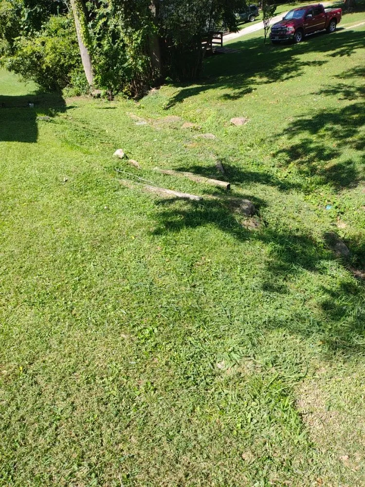 Local lawn care service for year-round maintenance in Russellville, TN by Collins Brothers lawn care