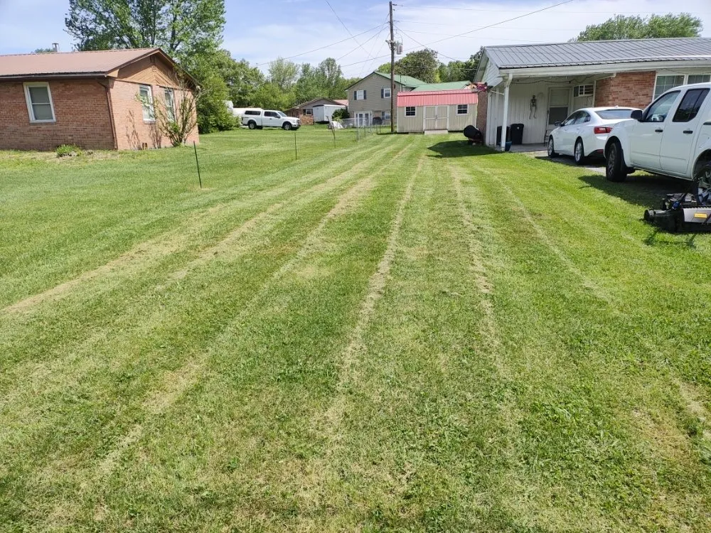 Local yard cleanup service in Russellville, TN - Collins Brothers lawn care
