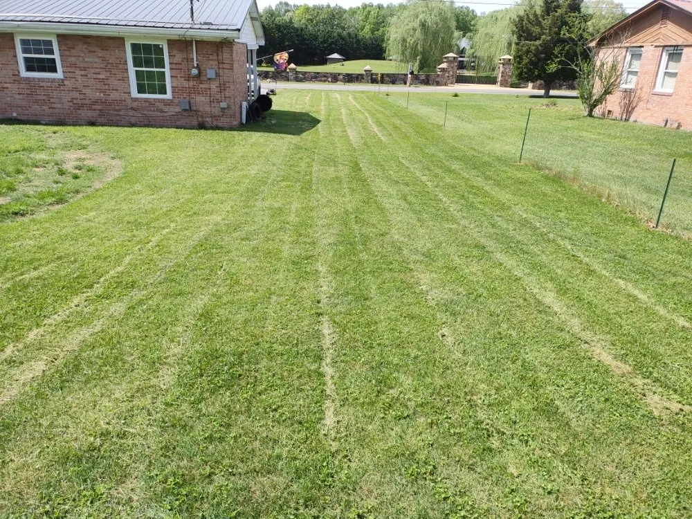 Reliable yard cleanup service experts serving Russellville, TN - Collins Brothers lawn care