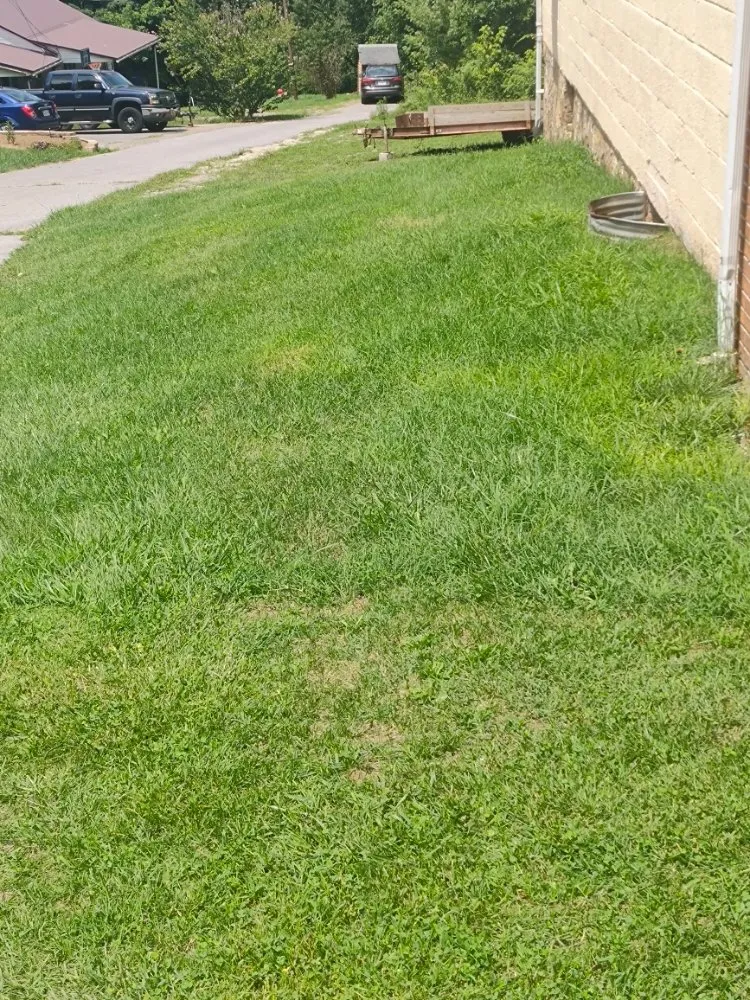 Top-rated residential landscaping for residential properties in Russellville, TN by Collins Brothers lawn care