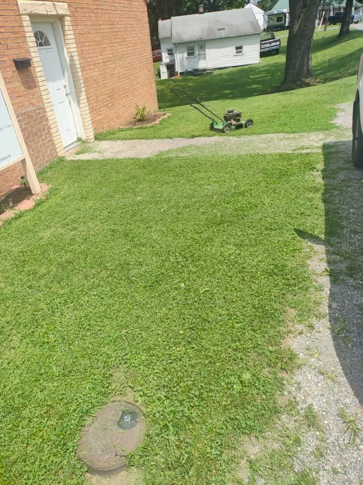 Trusted yard cleanup service near you in Russellville, TN by Collins Brothers lawn care