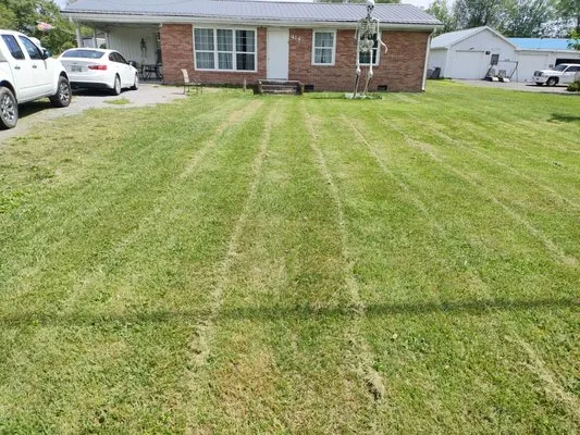 Collins Brothers lawn care