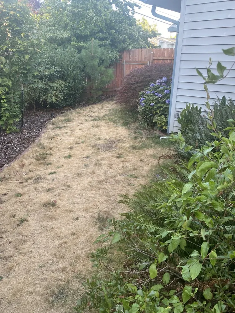 Local landscaping services in Molalla, OR by Collins Construction