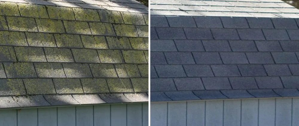 Local yard maintenance in Monroe, NC - Collin’s Exterior Cleaning