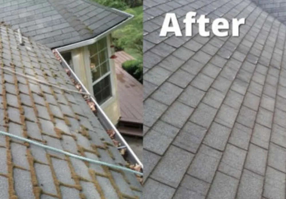 Affordable lawn mowing service with custom design in Monroe, NC by Collin’s Exterior Cleaning