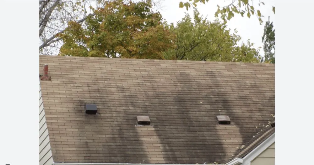 Affordable residential landscaping experts serving Monroe, NC - Collin’s Exterior Cleaning