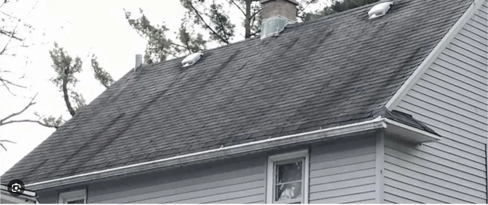 Professional yard cleanup service in Monroe, NC by Collin’s Exterior Cleaning