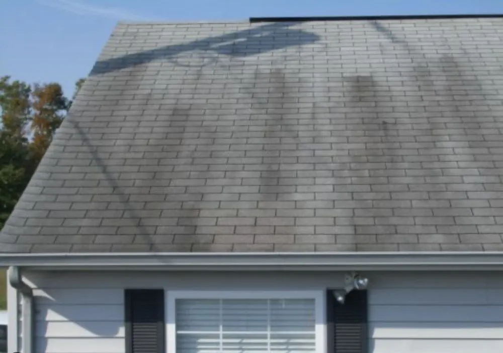 Custom outdoor landscaping experts serving Monroe, NC - Collin’s Exterior Cleaning