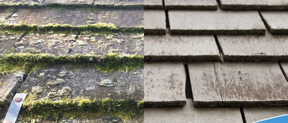 Affordable lawn care service experts serving Monroe, NC - Collin’s Exterior Cleaning