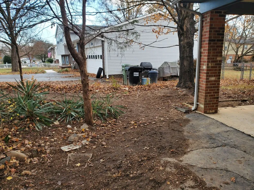 Professional landscaping services in Woodford, VA - Collins Home & Landscaping
