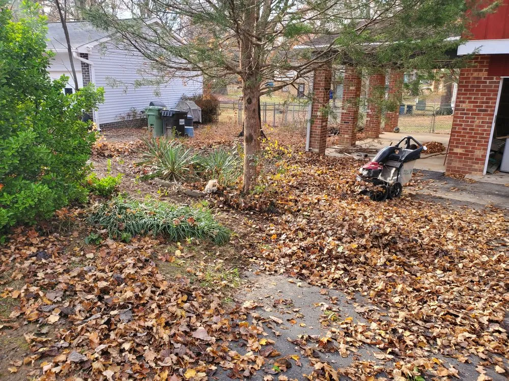 Reliable landscaping services with custom design across Woodford, VA - Collins Home & Landscaping