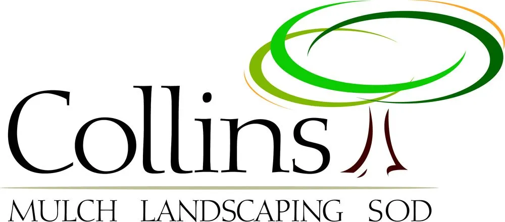 Professional landscape design in Anderson, SC by Collins Landscape
